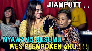 Download lagu Terbaru ! Cak Percil Cs KEGODO SUSU GEDI - Warung Seblang BANYUWANGI MARET 2021 mp3 Download lagu Terbaru ! Cak Percil Cs KEGODO SUSU GEDI - Warung Seblang BANYUWANGI MARET 2021 mp3