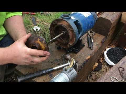 Assembly of flint and walling pump CJ101 series model