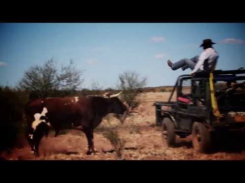 Where In The World Is Clinton Anderson? New TV series airs February 18th