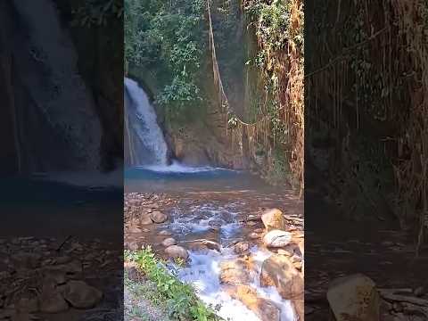 De vacaciones en Oxapampa