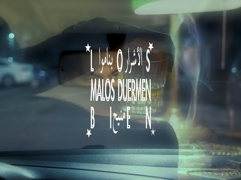 LOS MALOS DUERMEN BIEN - visualizer lyric video