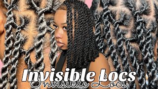 NEW TREND 🚨! INVISIBLE LOCS / TWO STRAND TWISTS 😍 | TWO METHODS 🫶🏽| NO CROCHET & CROCHET METHOD