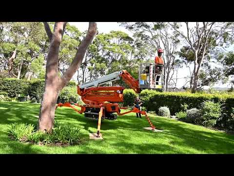 Ruthmann Bluelift SA22