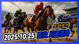2025년 10월 25일 토요 서울경마 전체경주 모아보기