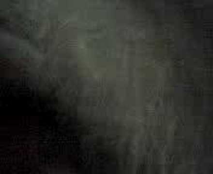 chute boxe no ouro fino ctba