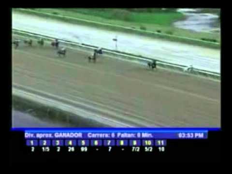 RESULTADOS 5Y6 SABADO 11 FEBRERO 2012