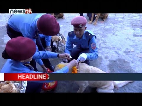 AFTERNOON NEWS HEADLINES - NEWS24 TV