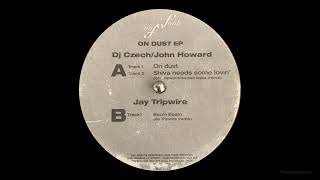 DJ Czech, John Howard– Shiva Needs Some Lovin' [2001]