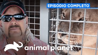 Thumbnail del capítulo