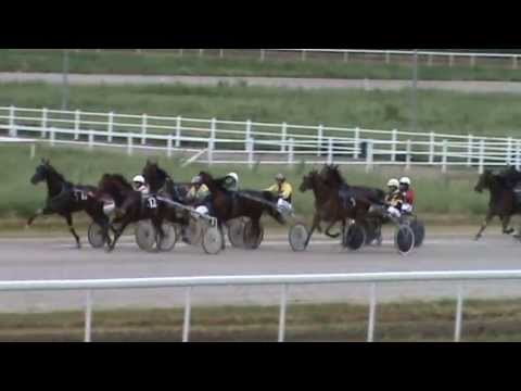 Београд 12 Мај 2013, "Брза партија"