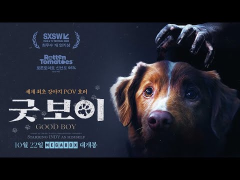 [굿 보이] 30초 예고편