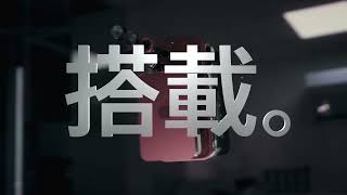 Chip / 15 / JPJP / Rakuten / 16:9 / YouTube Pre-Roll / Web Mix