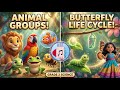 Animal Groups And Life Cycles Grade 2 Science Lesson Amazing Animals