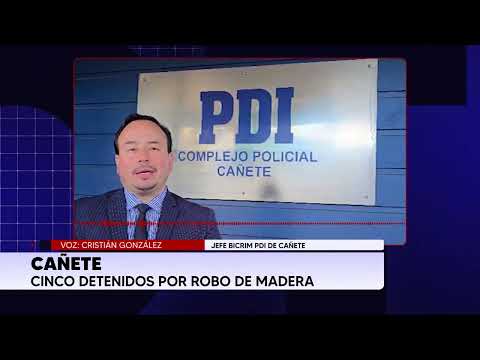 Cañete: cinco detenidos por robo de madera y PDI incauta motosierras y acelerante durante operativo
