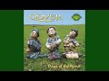 The Irish Rover
