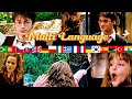 Harry Potter Multilanguage Chaos 19 Languages Best Moments Compared