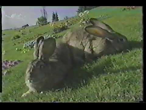 Rare Teletubbies Opening Music