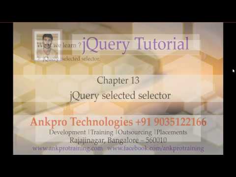 jQuery 13 Selectors Selected selector