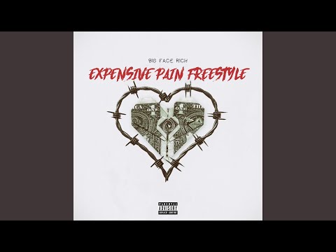 Expensive Pain Freestyle