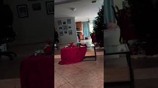 #funny #cat #pets #animals #dog #cute #cats #memes #dogs #funnyanimals