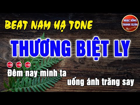 Thương Ly Biệt Karaoke Tone Nam (Hạ Tone)