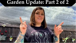 Garden Update: Starting Over Again // Part 2 of 2