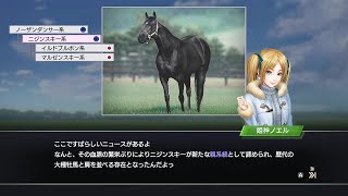 【ゆっくり解説】ウイニングポスト9  2021  ST箱庭作り第3回