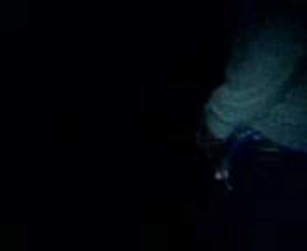 Marvin pisst in Grömitz