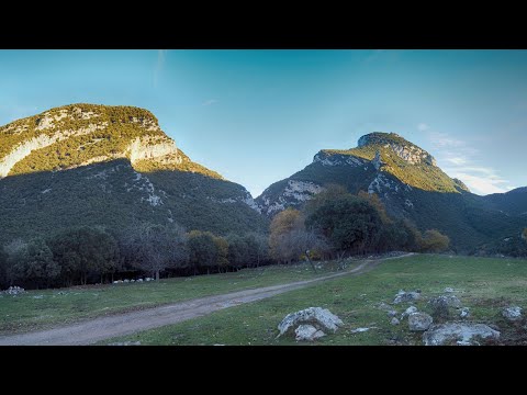 el Martanyà - Relive