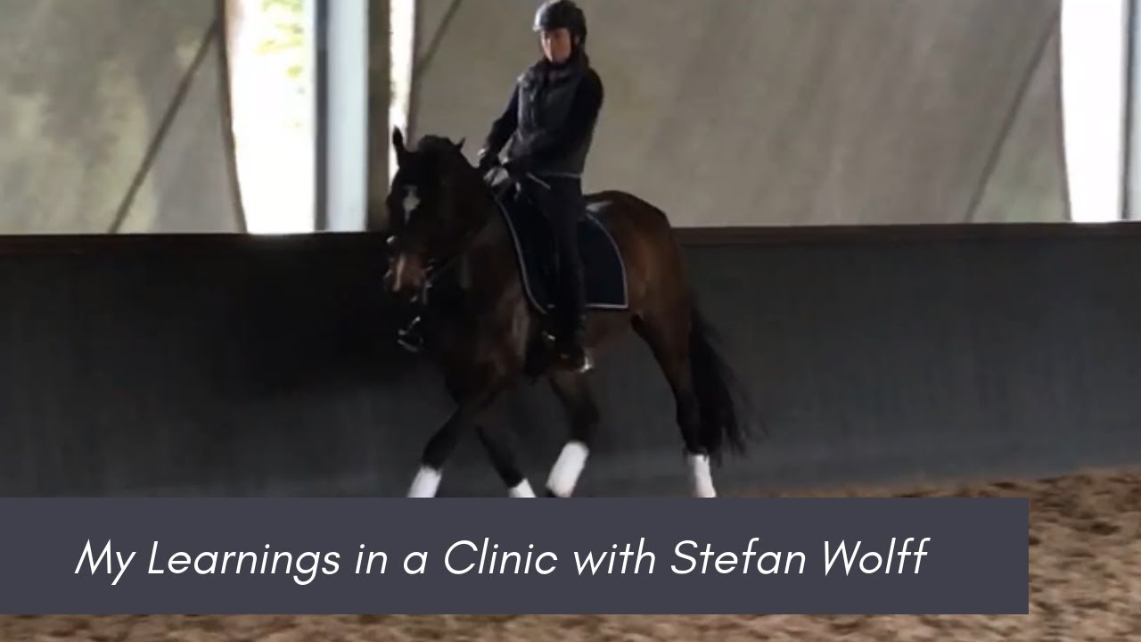 My Learnings in a Clinic with Stefan Wolff - Unstoppable Equestrian Ep84