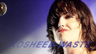 Kosheen-Waste (KosheenDjs Remix)2011