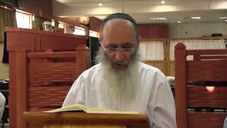 פרשת תזריע | הקשר בין טהרת האדם מטומאתו לברית המילה (חומש הראיה) – הרב אורי שרקי