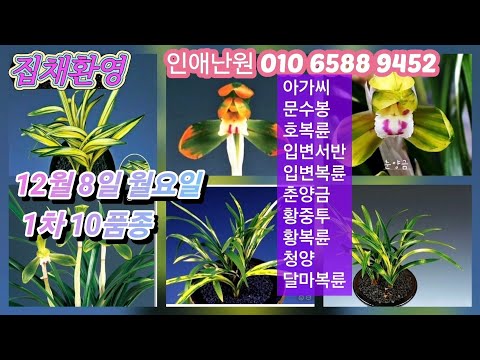유튜브 썸네일