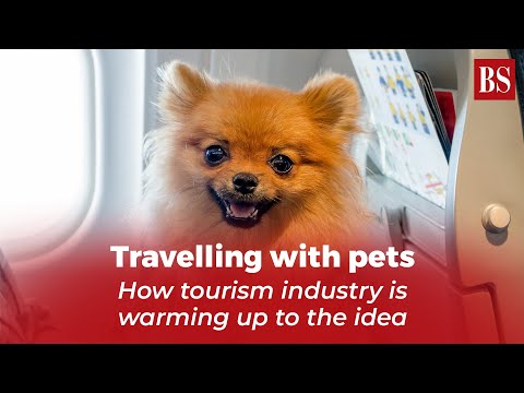 , title : 'Travelling with pets: How Tourism Industry is warming up to the Idea | Business Standard'