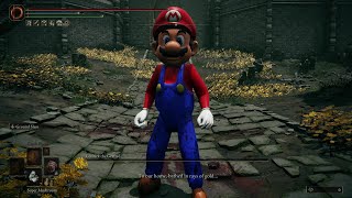 Mega Mario in The Lands Between
