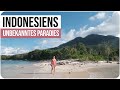 TROPICAL PARADISE No Tourists INDONESIA 4K World Trip Vlog 26
