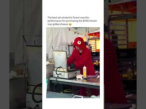 That’s a $5 lobster grilled cheese and a $95 performance 💯 #edm #electronicdancemusic #festival