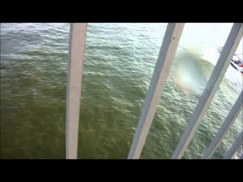 Drunk History:  Bridge Jump ft. Kevin Witz