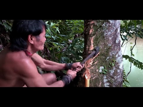 Full Documentary-Borneo Death Blow -
