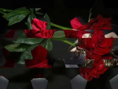 Terry Oldfield & Soraya Saraswati  ♥  Dreamer ♥