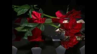 Terry Oldfield &amp; Soraya Saraswati  ♥  Dreamer ♥