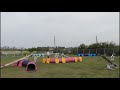 Agility Lesson Bordercollie CHIP 2022 0421 ①