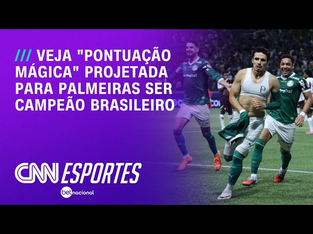 UFMG: Palmeiras tem 54,6% de chances de título no Brasileirão | CNN NOVO DIA