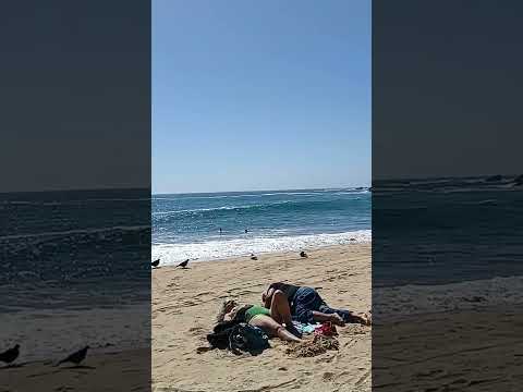 HACHECE +TV PLAYA LAS SALINAS DE VIÑA DEL MAR CHILE 11032025