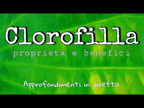 Clorofilla proprietà e benefici
