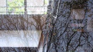 two ways out   60d  カメラテスト