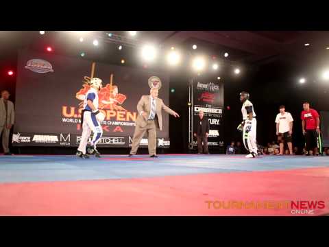 Richard Veres vs Jamal Albini Men's Overall Sparring Grand Championships at The 2014 US Open ISKA Wo