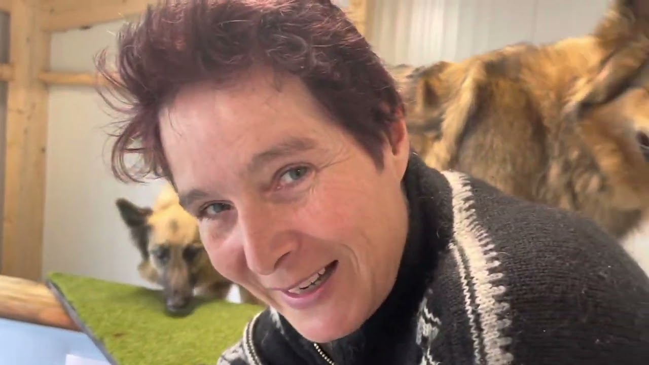 Physiotherapie bzw. Krankengymnastik für Hunde