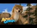 Caribou Stampede Scene Alpha And Omega