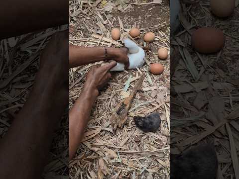 Wow, 😱 there's a child in the nest. #nature #viralvideo #funny #animals